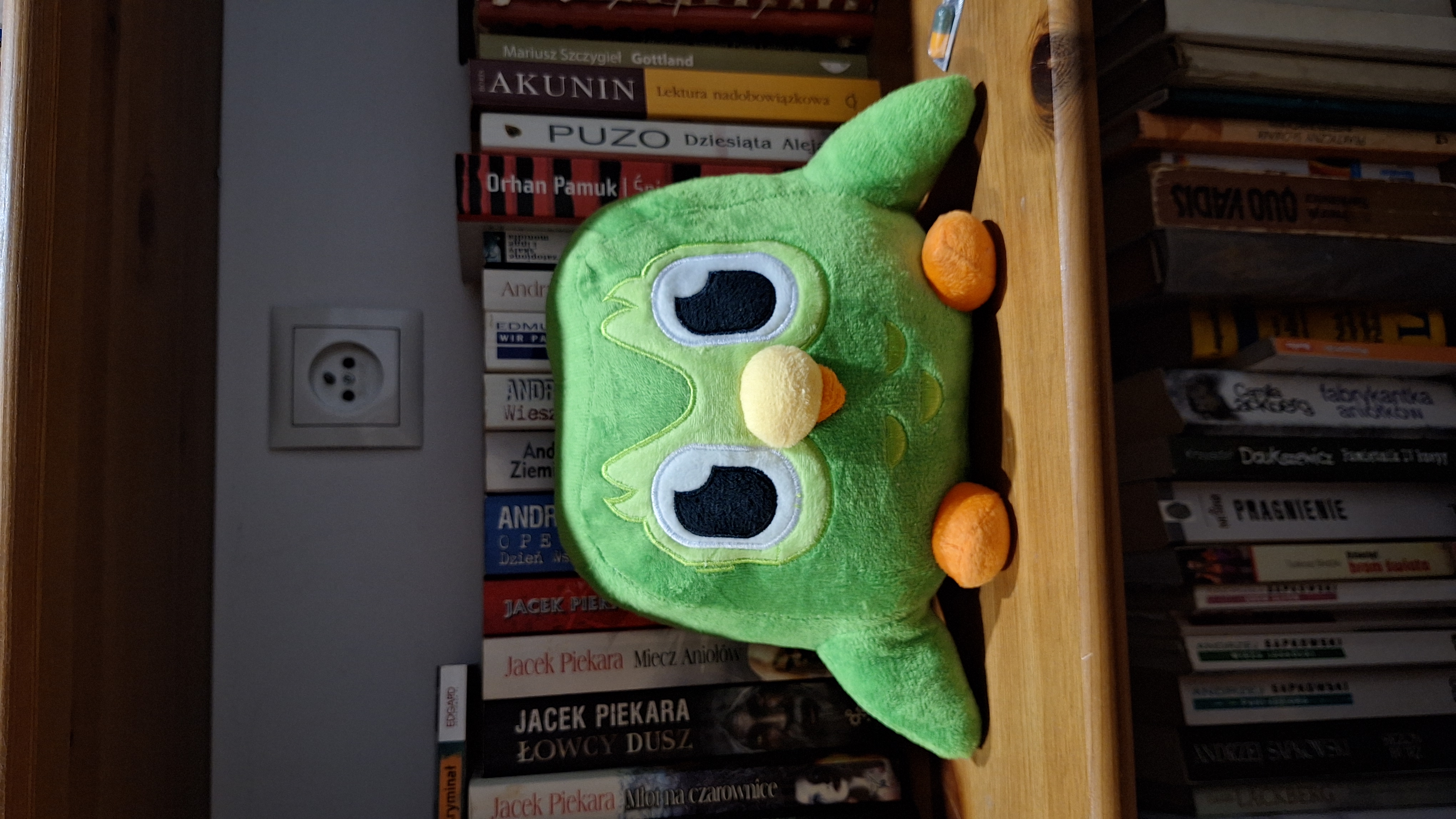 Duolingo owl speaker build components